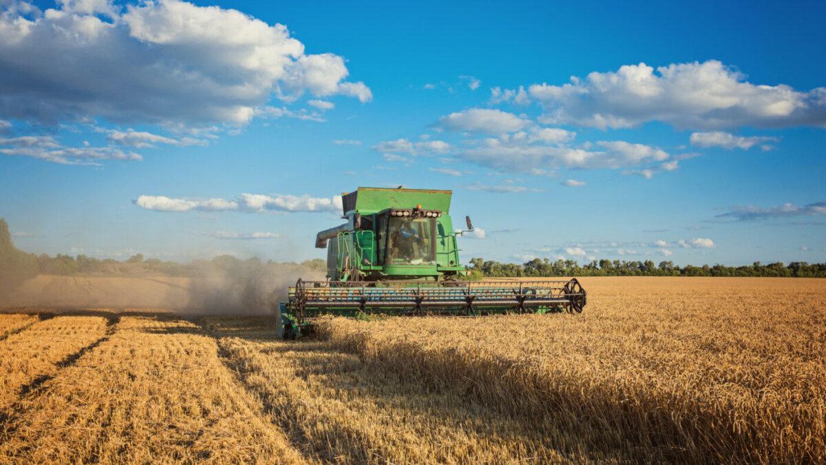Pesquisa indica que agronegócio brasileiro tem futuro promissor com proteínas e biocombustíveis; Goiás se destaca